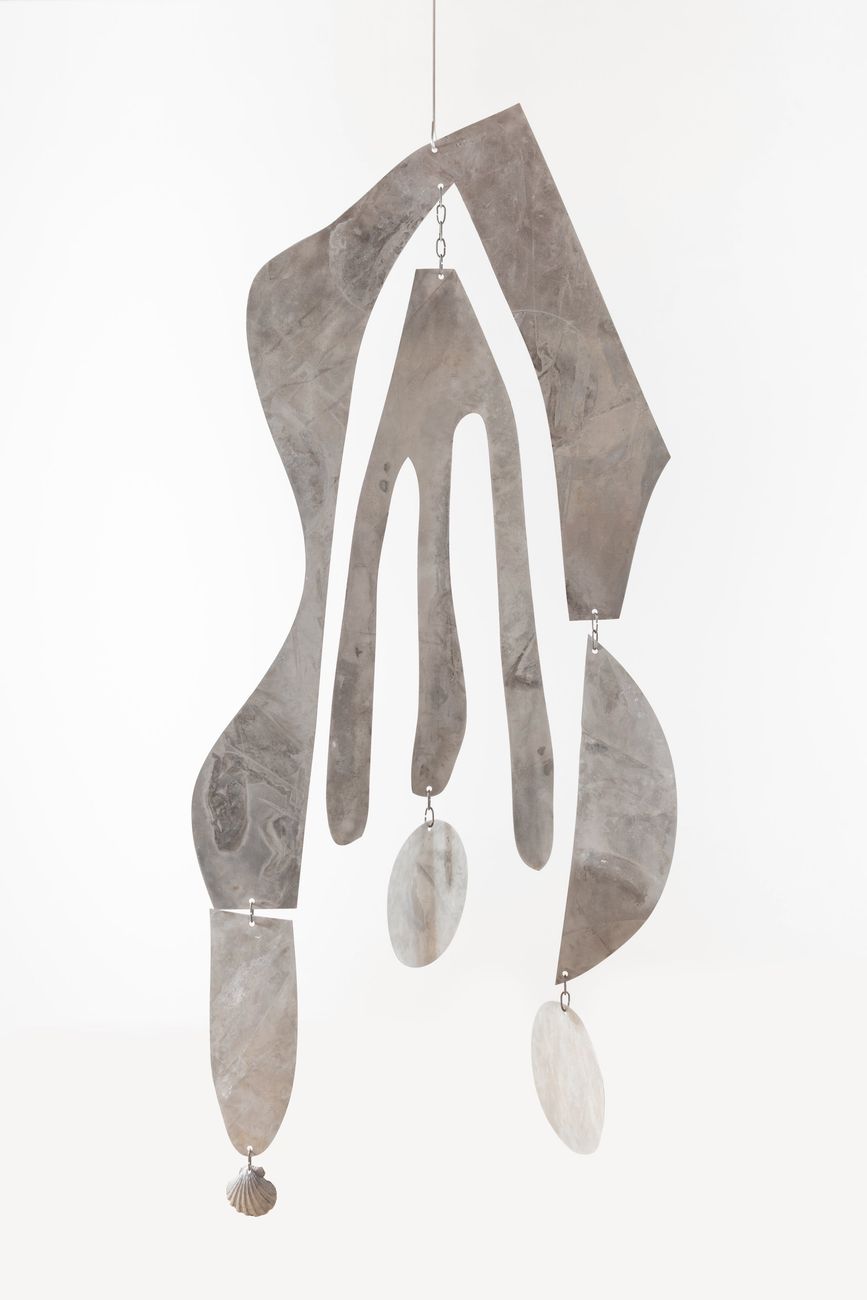 Preview image for Seaweed