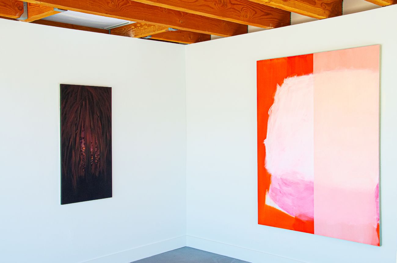 Preview image for inaugural show June 4 - Aug 21 