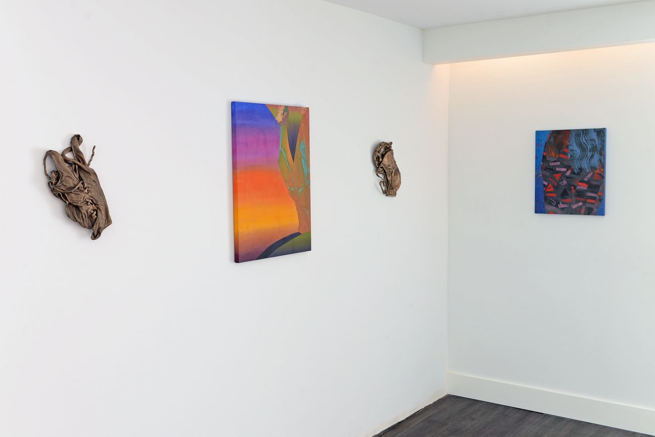 Preview image for inaugural show June 4 - Aug 21 