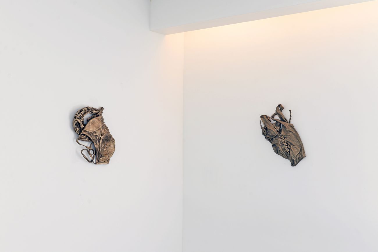 Preview image for inaugural show June 4 - Aug 21 