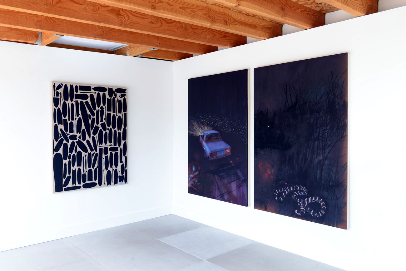 Preview image for inaugural show June 4 - Aug 21 