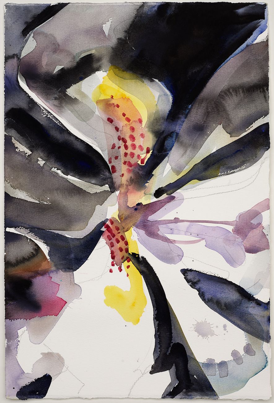 Preview image for Untitled (flora)