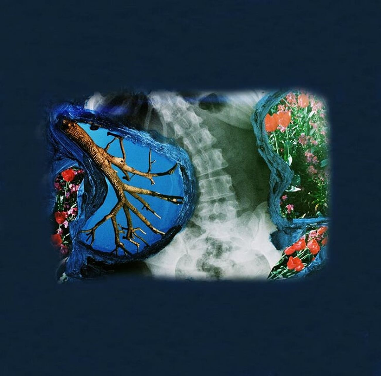 Preview image for Seasons III
