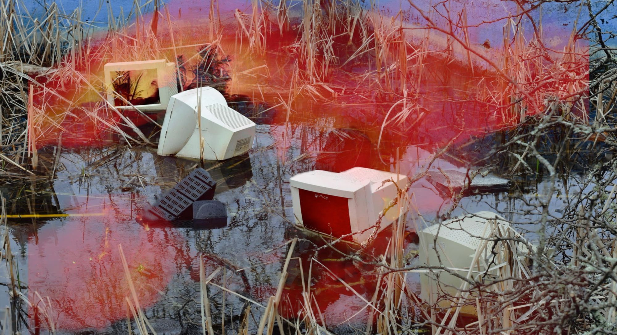 Preview image for Courtesy of Infinity / Bee (video still)