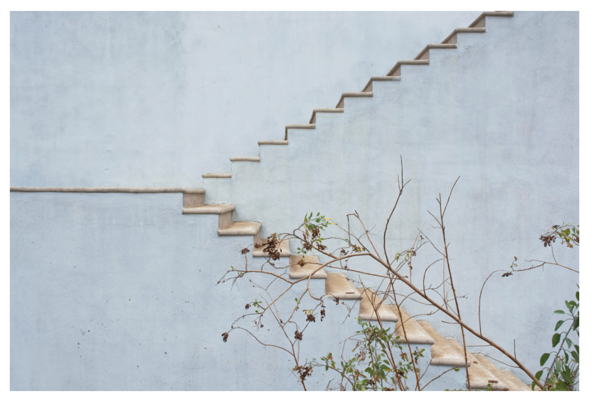 Preview image for From the Valle San Pedro series