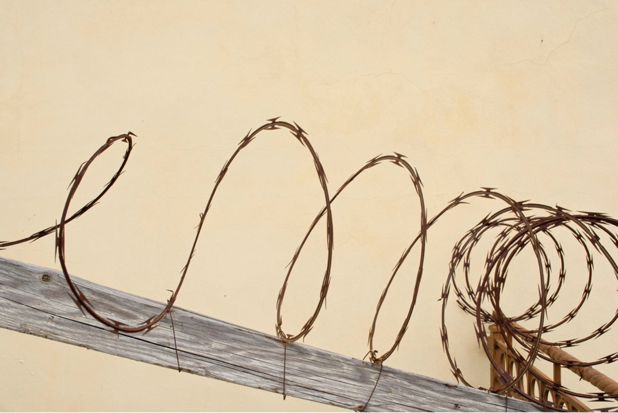 Preview image for From the Valle San Pedro series