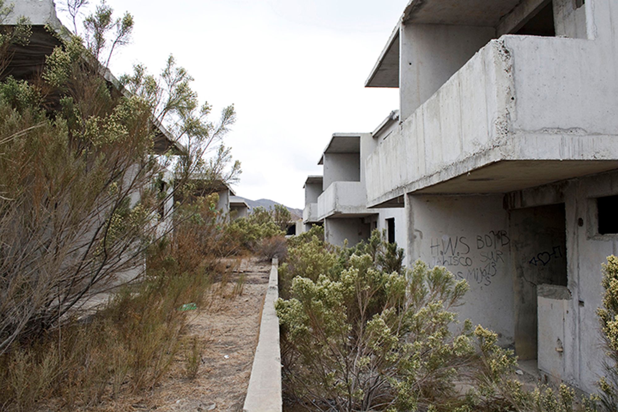 Preview image for From the Valle San Pedro series