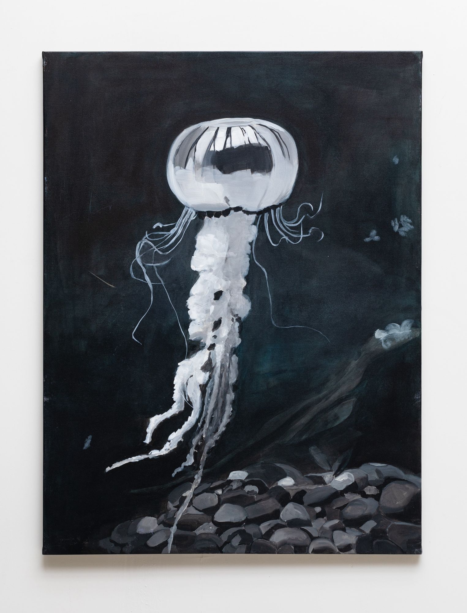 Jellyfish
