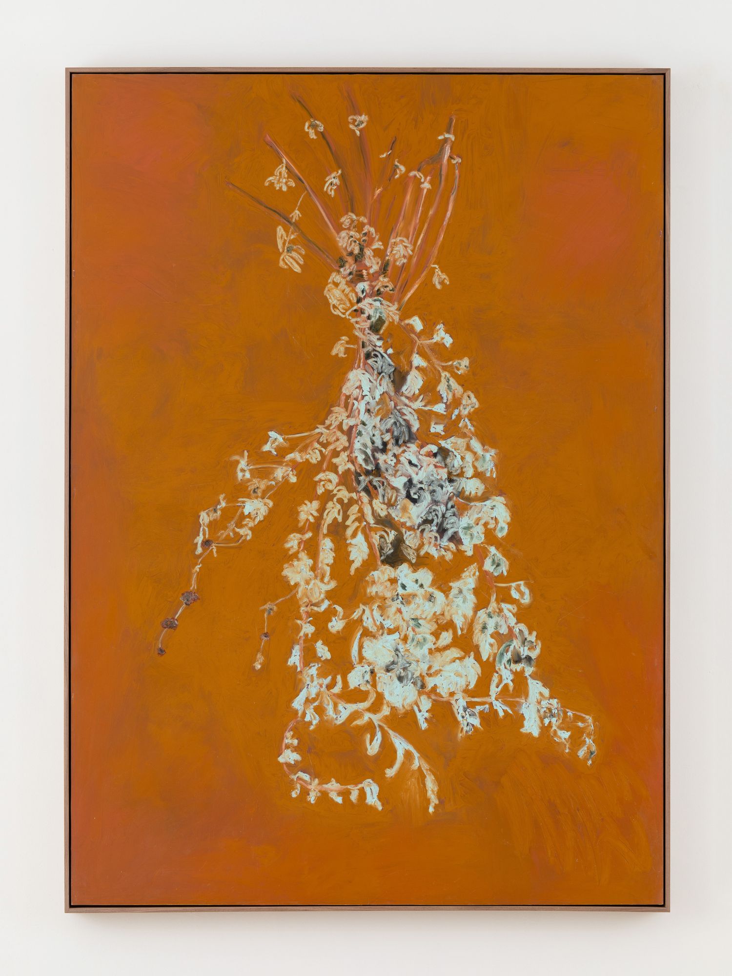 Brown Sage