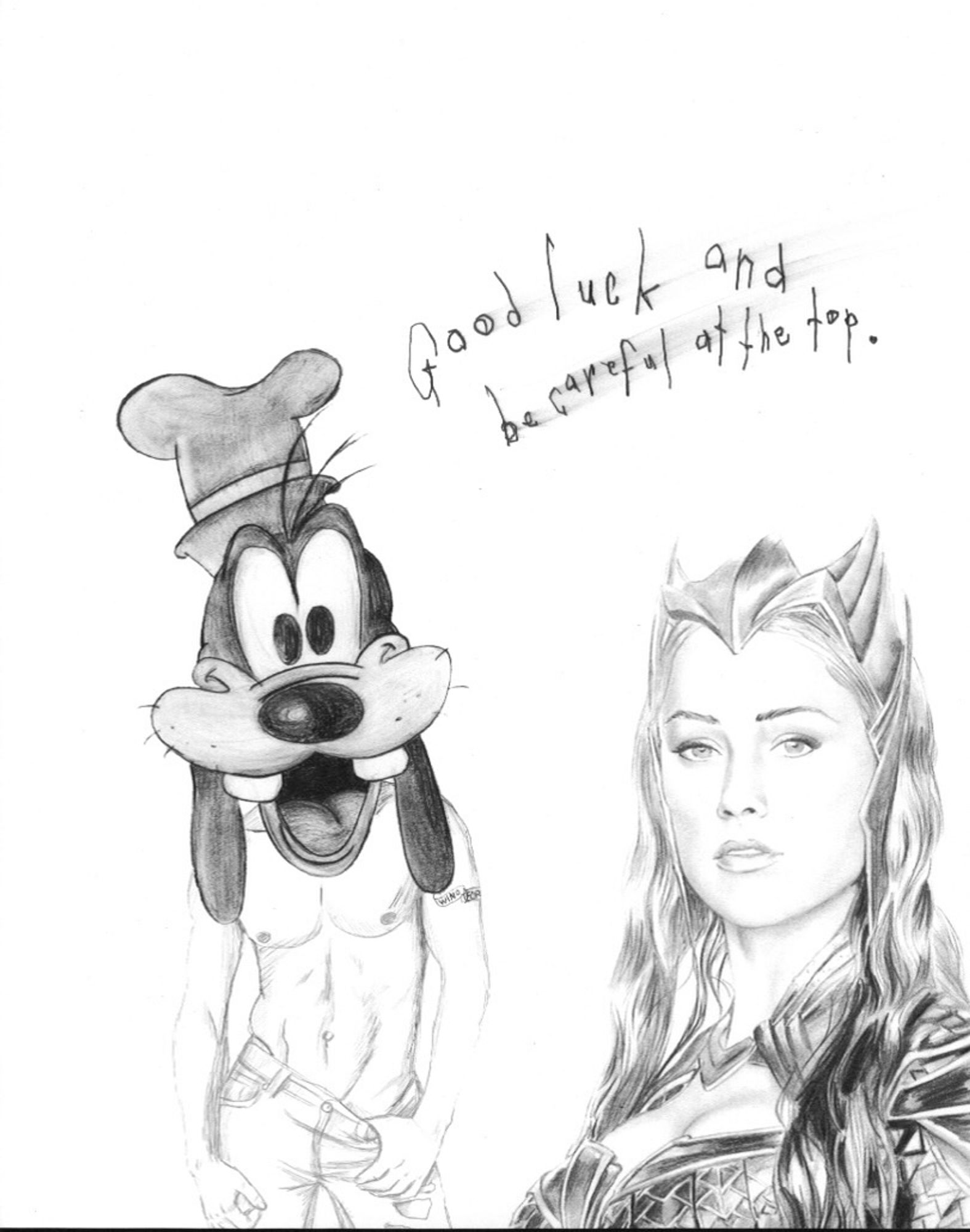 Preview image for Good luck and be careful at the top.