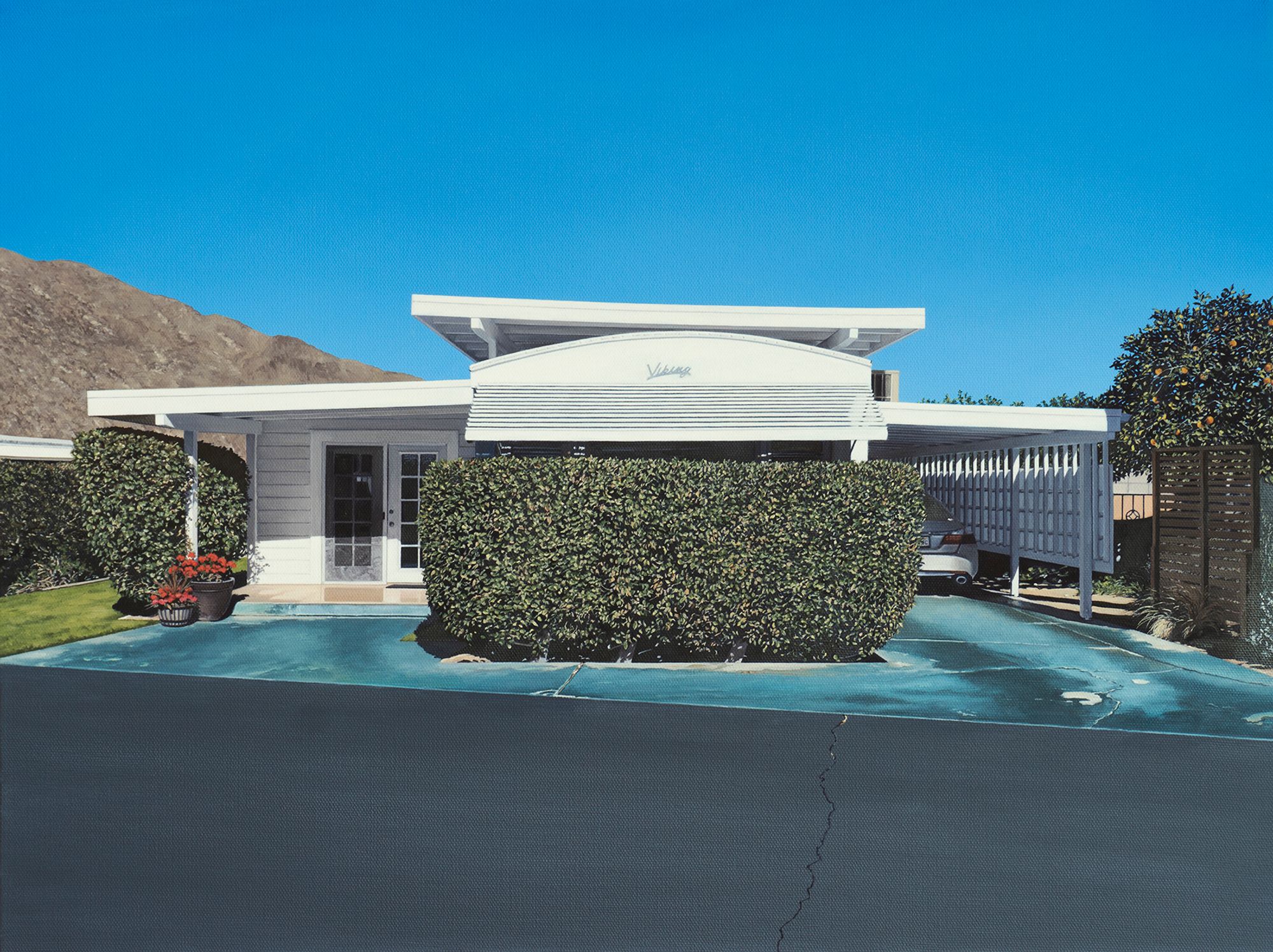 Hedge