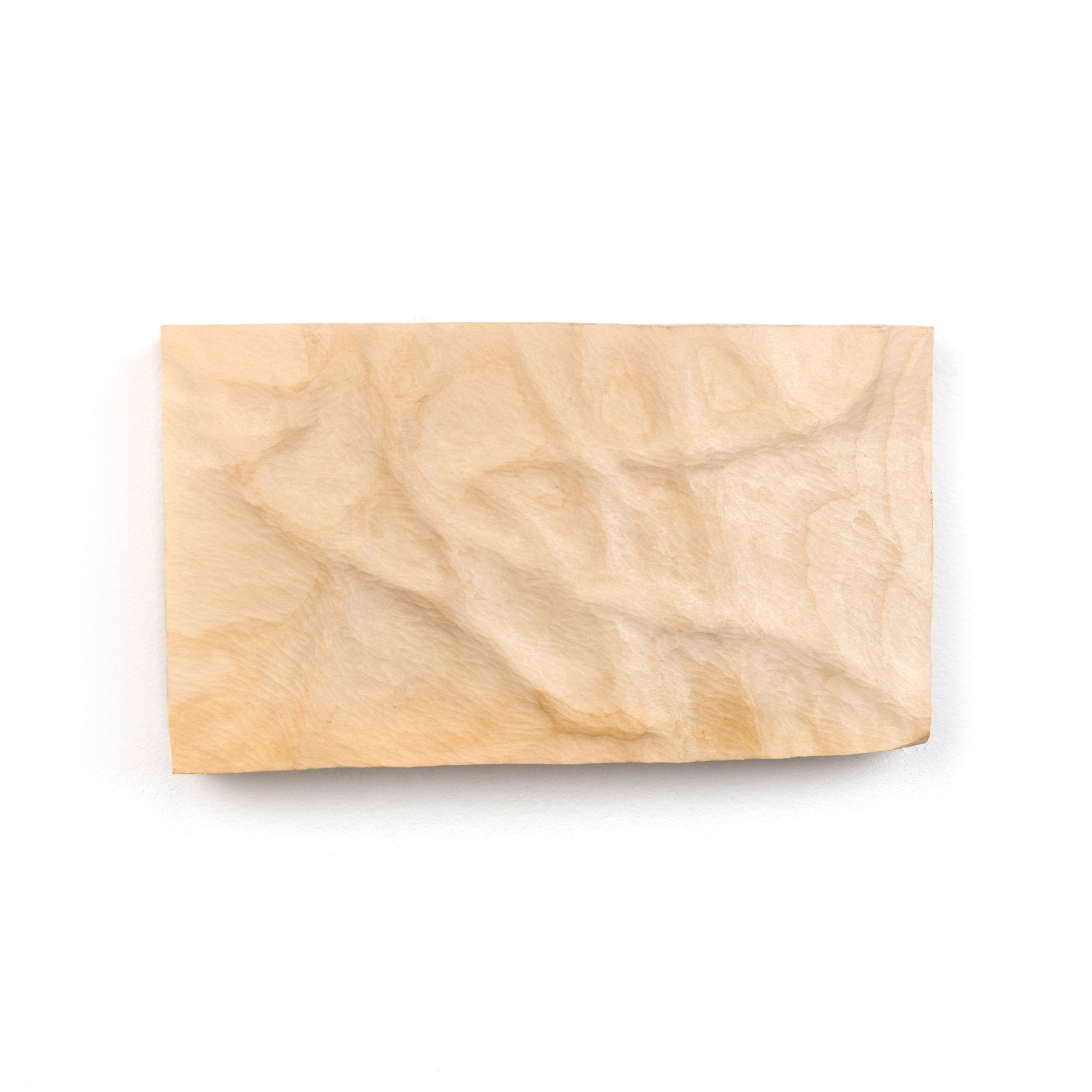 Preview image for Vascular Panel III