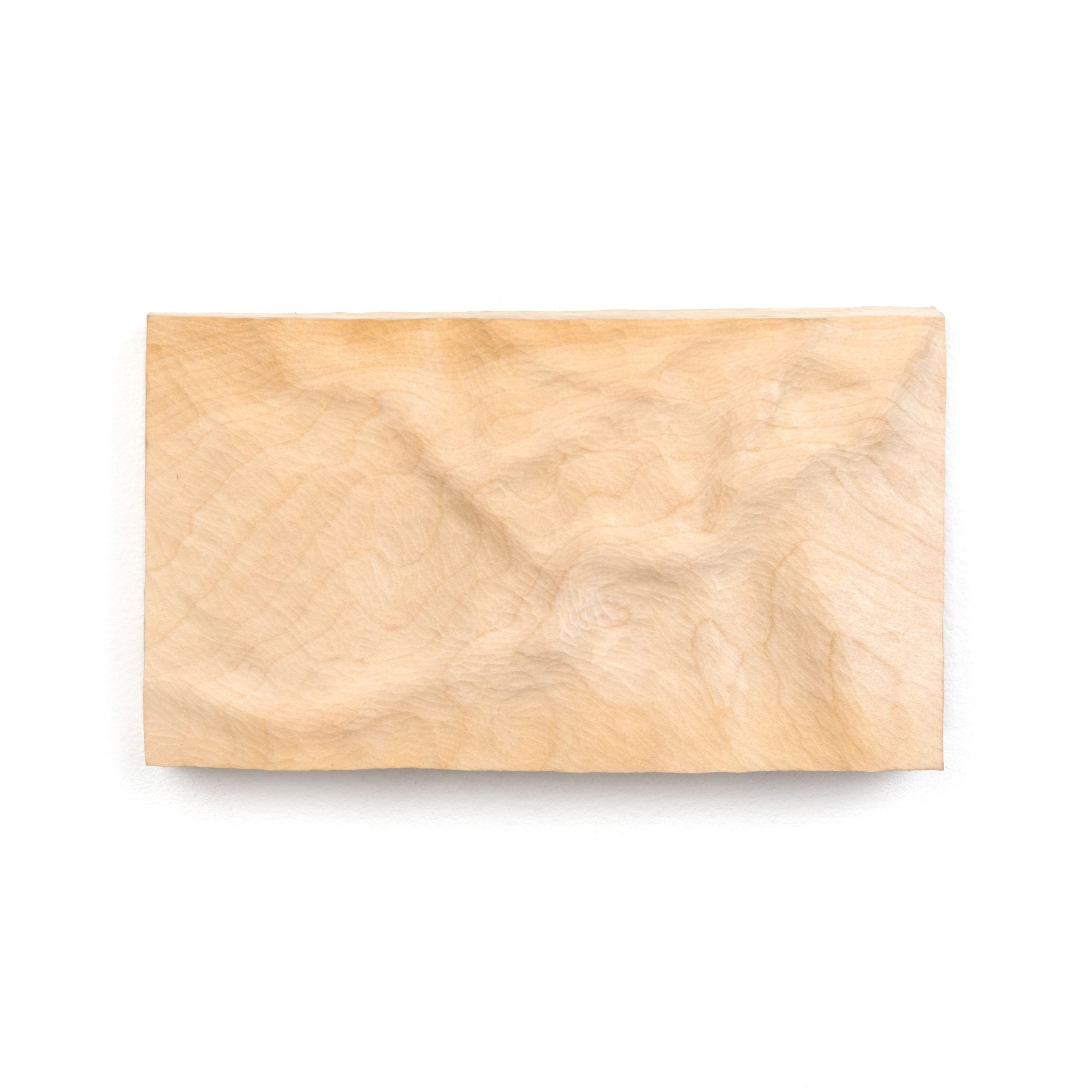 Preview image for Vascular Panel IV