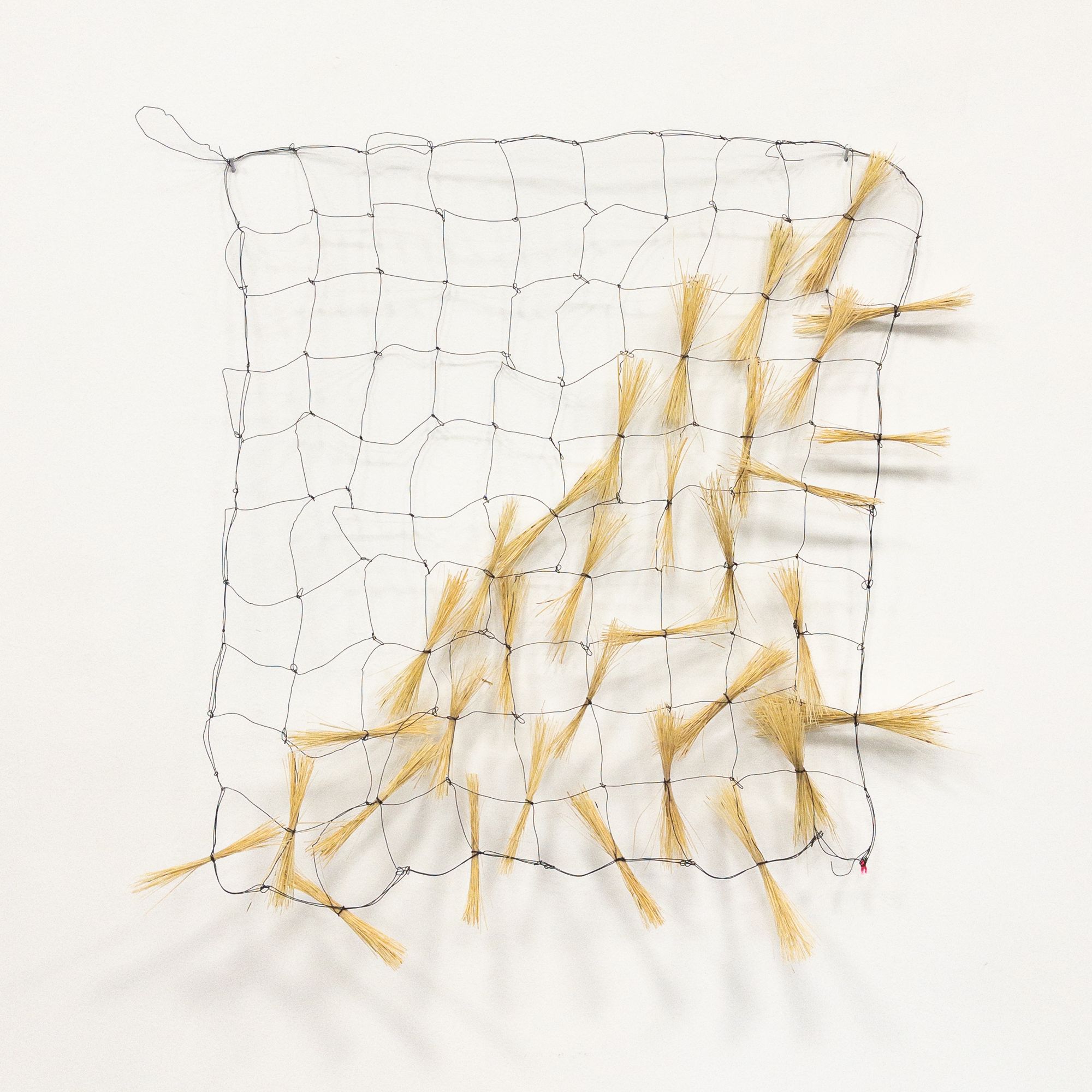 The Tension of Connection