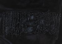 Alternate view #2