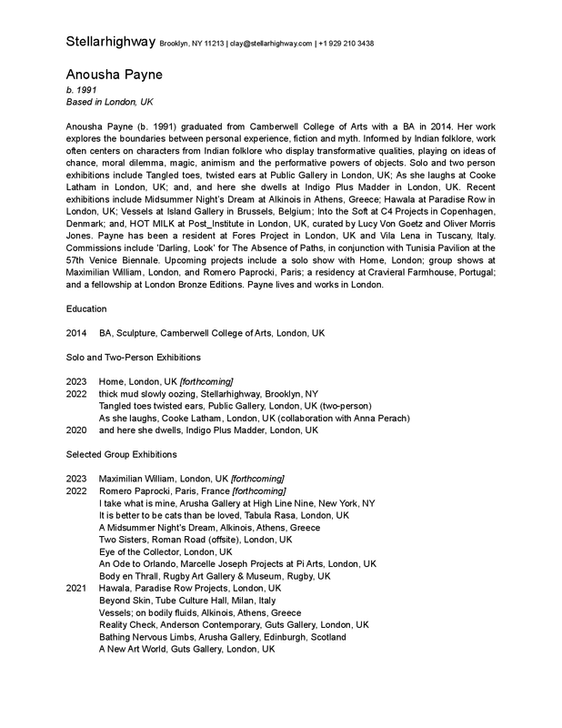 Stellarhighway Anousha Payne CV 09202022.pdf