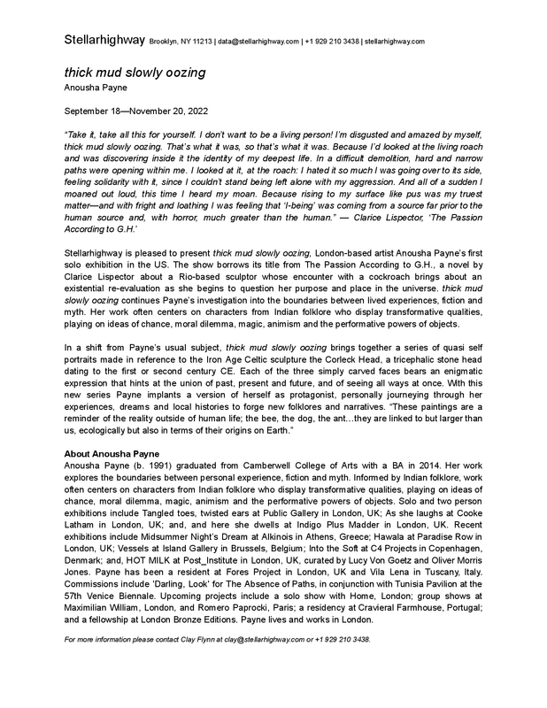 Stellarhighway Anousha Payne Press Release.pdf