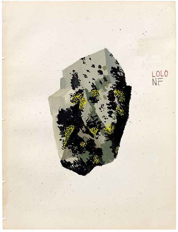 Basalt & Lichen