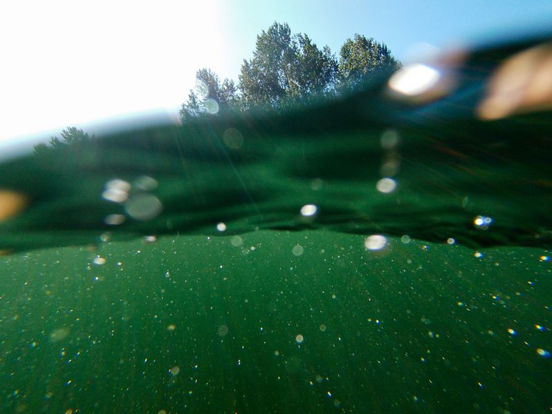 Open Water - Above and Below