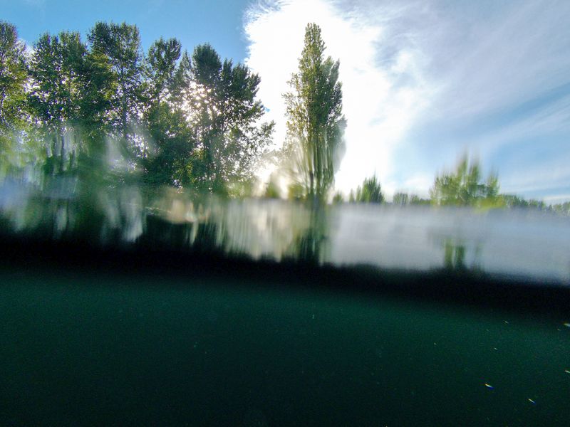 Open Water - Dream of Summer
