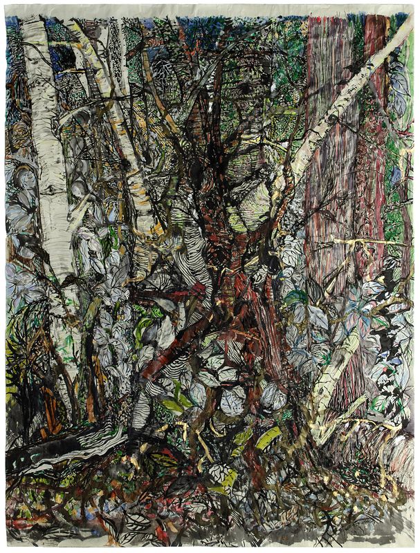 Lost In Woods