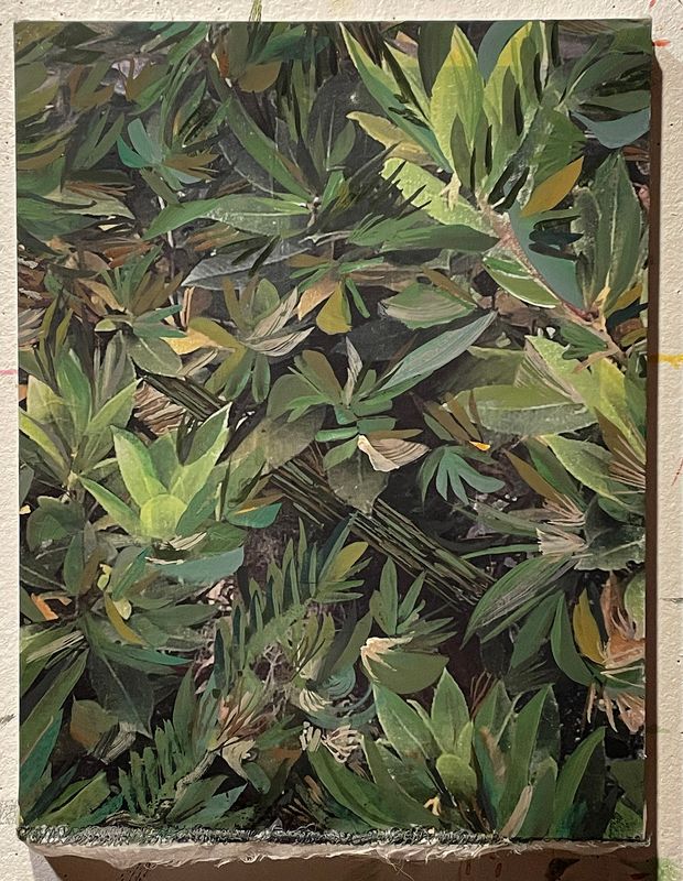 Laurel