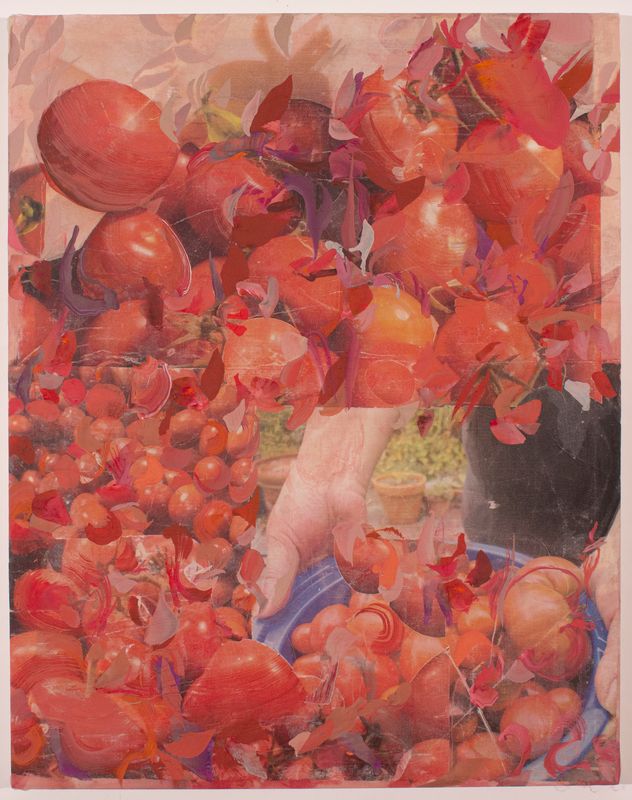 Tomatoes