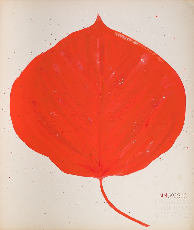 Aspen Leaf, December 11, 2021, Crucas Basin Wilderness, Oregon