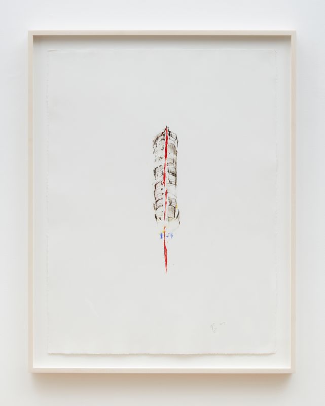 Everything We've Ever Been, Everything We Are Right Now - Untitled (Feather 2)