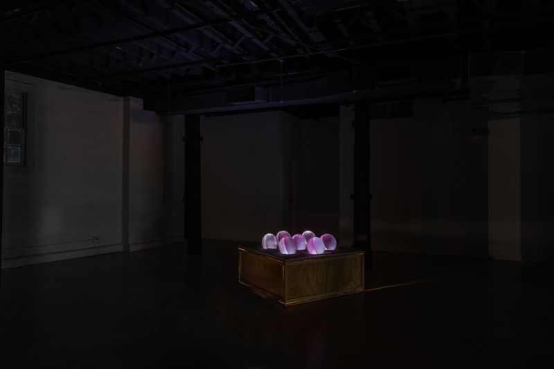 Untitled work