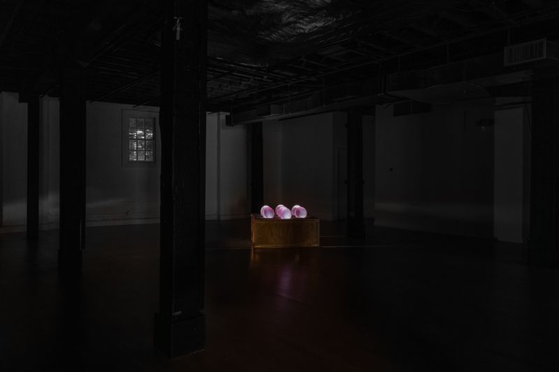Untitled work