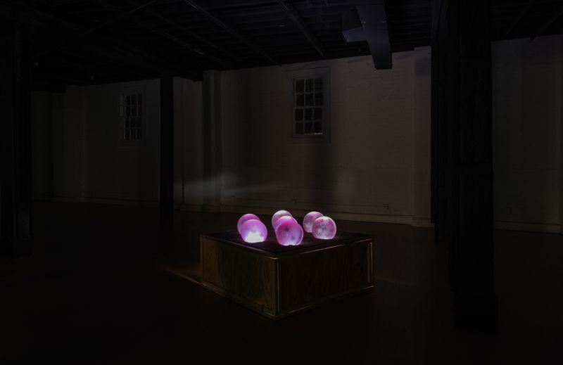 Untitled work