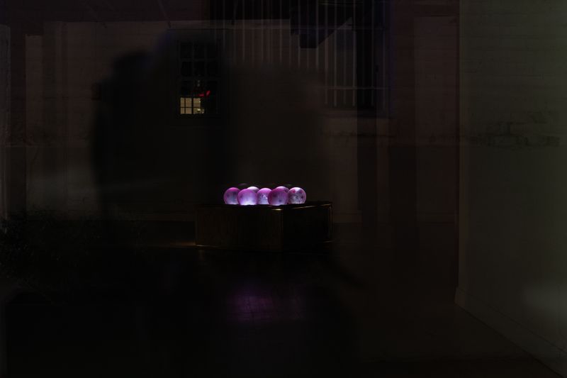 Untitled work