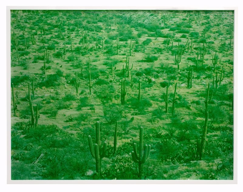Saguaro Field, Tucson, Arizona