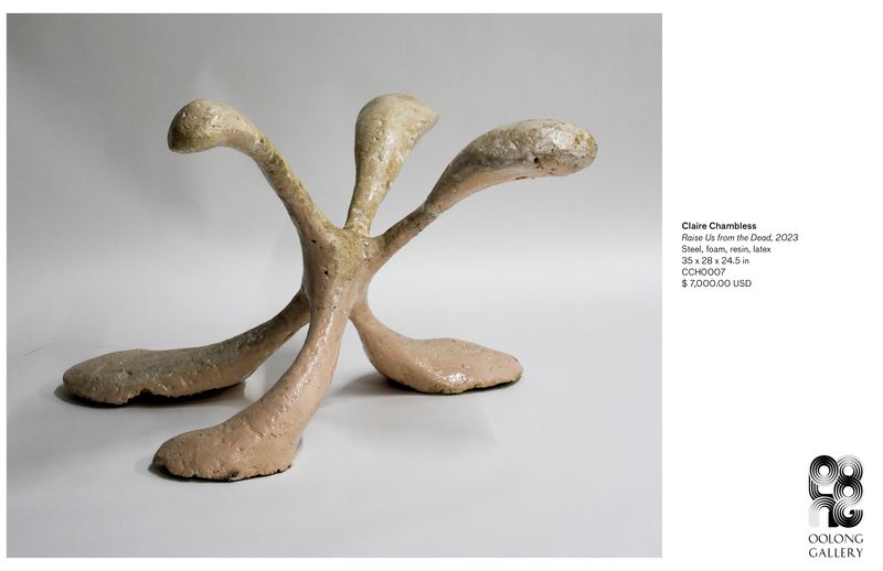 Markus Bacher | Claire Chambless exhibition Feb 24 - Apr 2