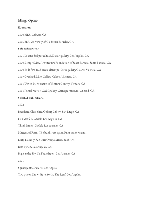 opazo cv.pdf