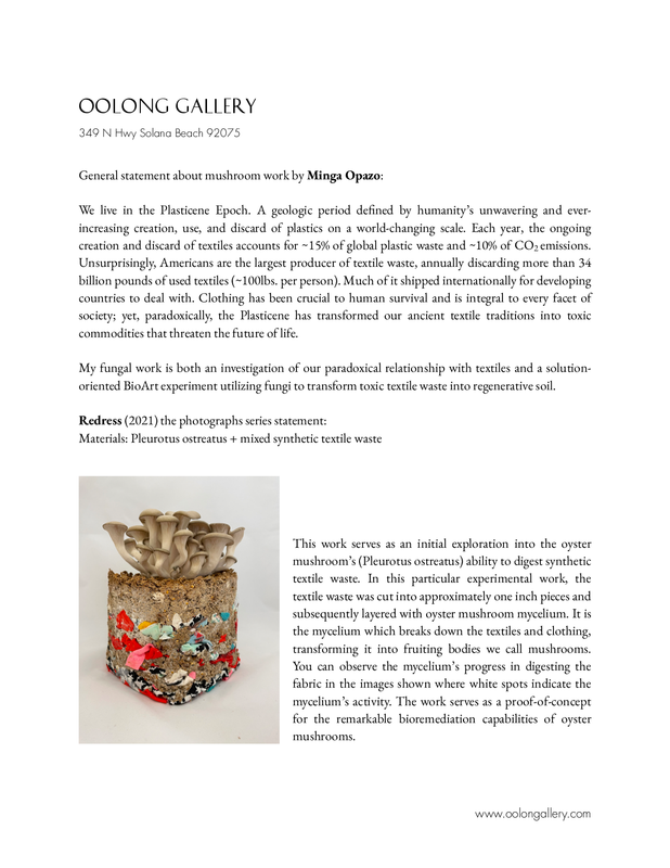 Oolong Opazo mushroom work.pdf