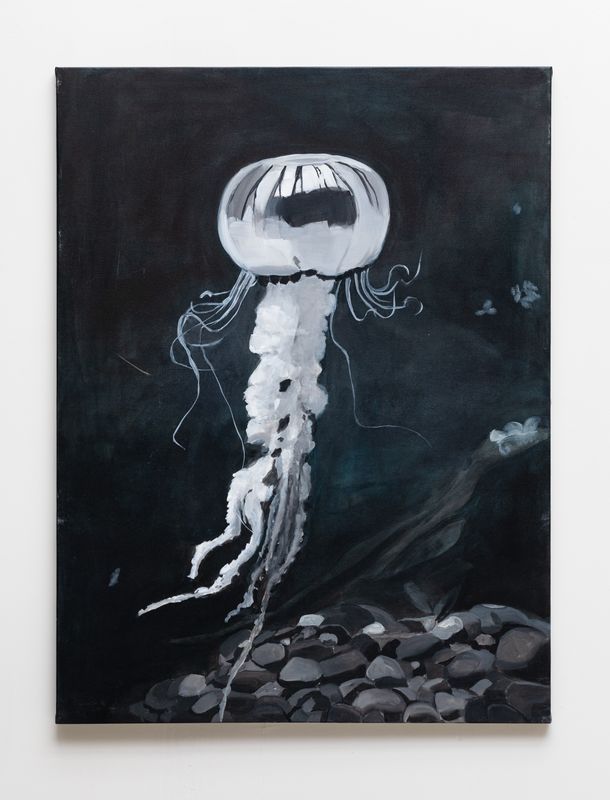 Jellyfish