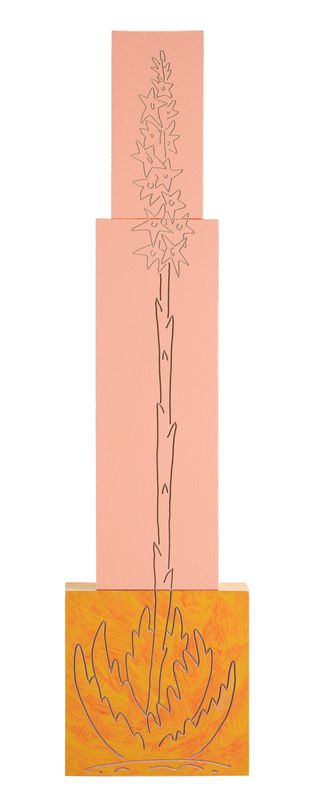 Agave Americana 2