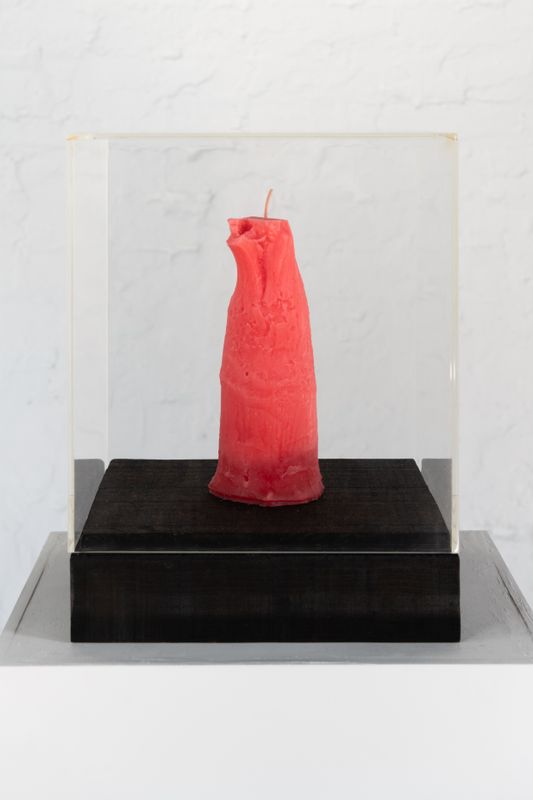 The Light (Flesh)