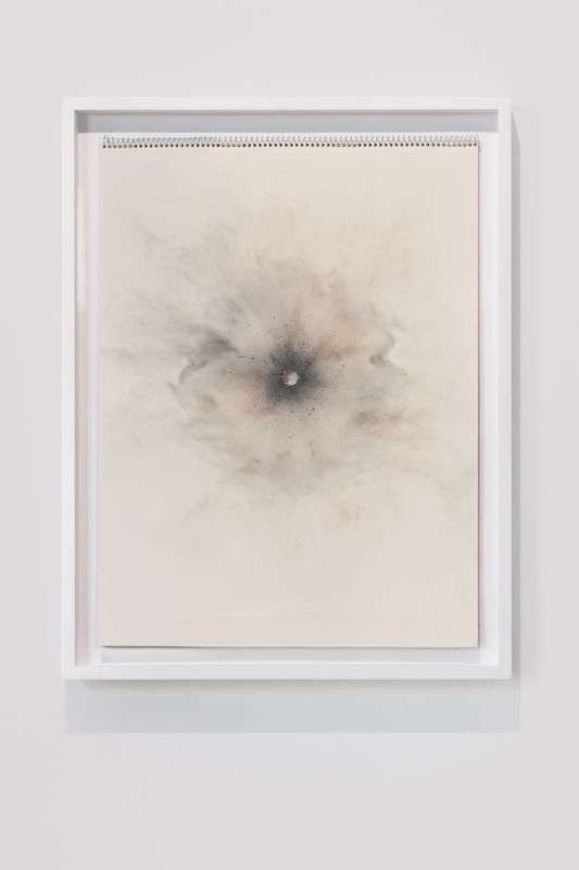 Untitled (12-Gauge “Punkin' ball” at Close Range)