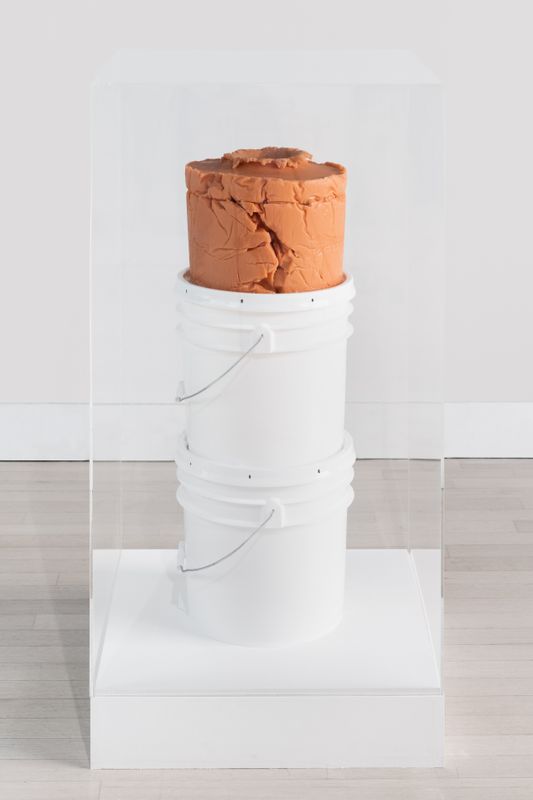 Untitled (The Evidence of Proof)