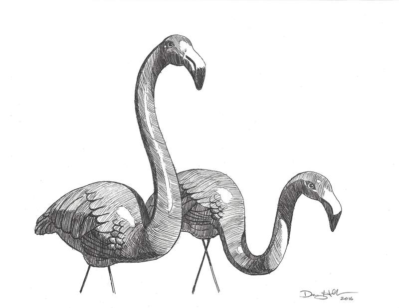Flamingo Study 2