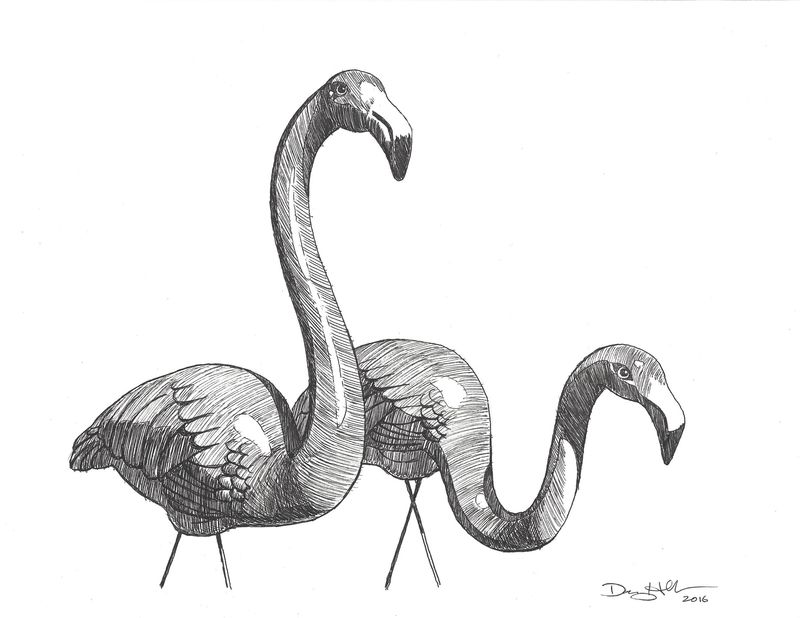 Flamingo Study 2