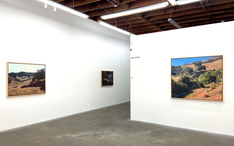 Bruce Everett: Pathways and Creekbeds