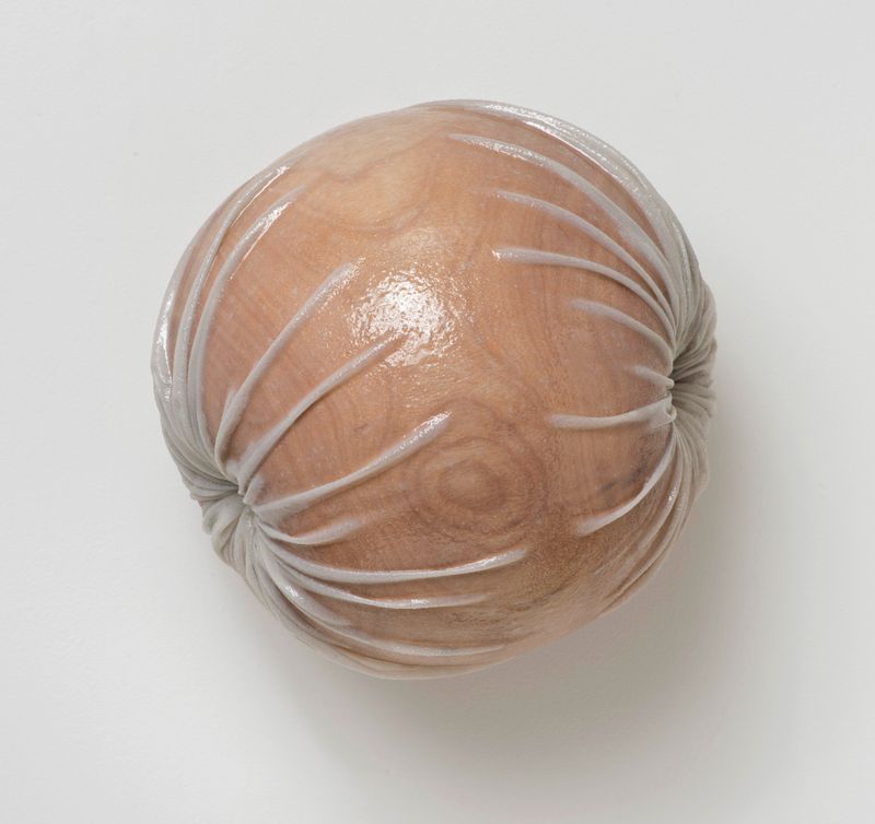 Torus