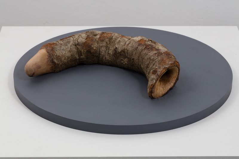 Dead Ouroboros
