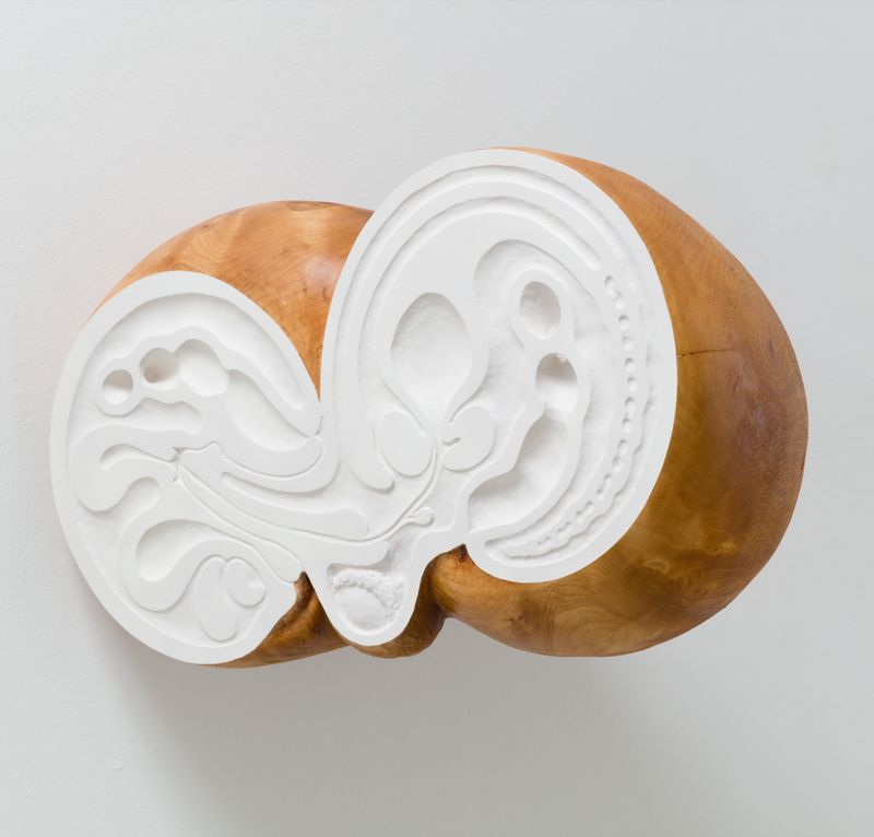 Untitled work