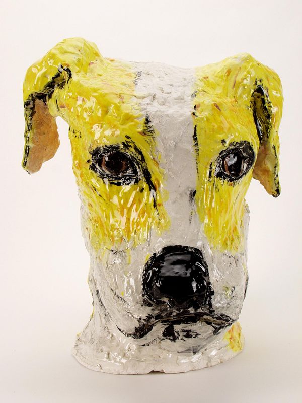 Yellow Dog Head