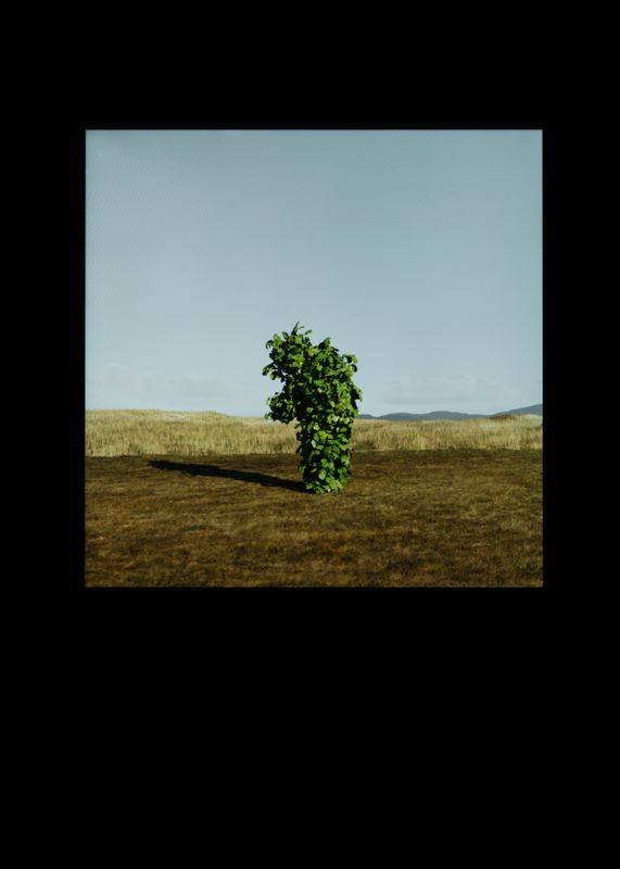 Untitled work